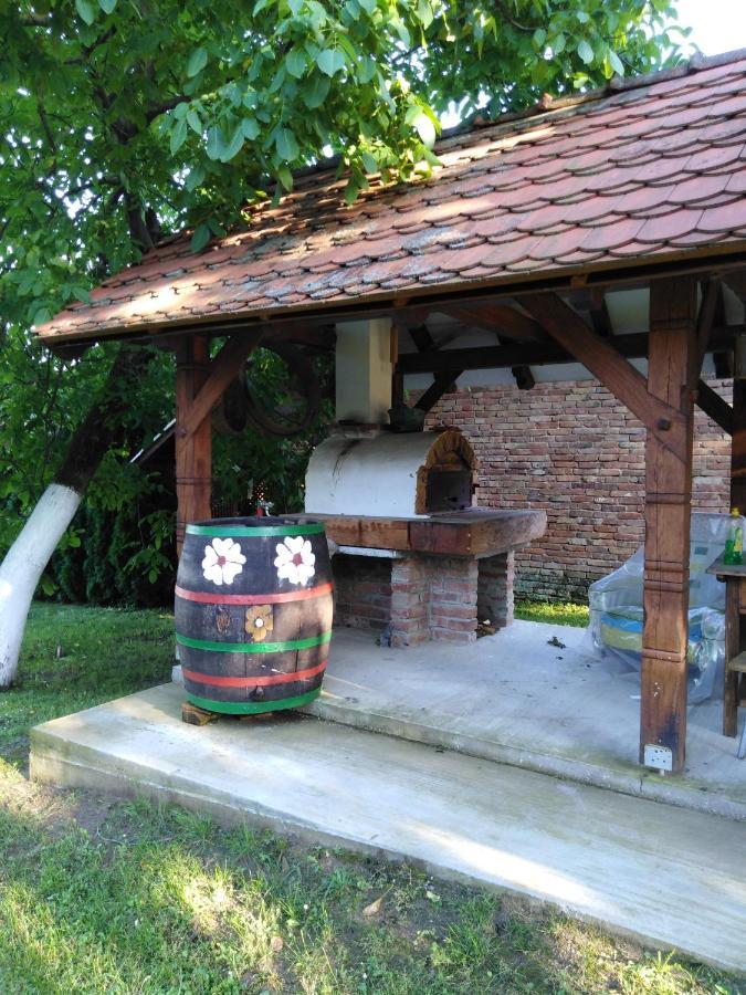 Umjetnicka Etno Kuca Luka Podravske Sesvete Exterior foto